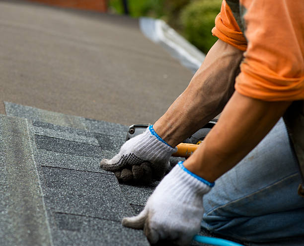 Best Roof Repair Services  in Muskegon Heights, MI