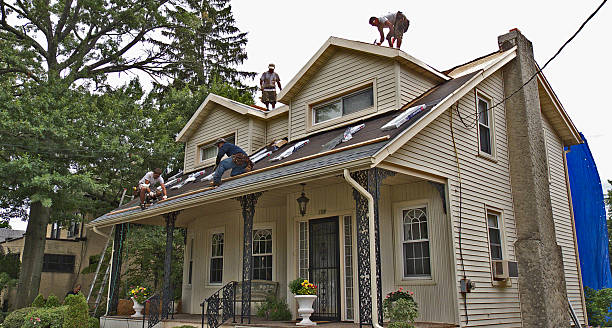 Best Shingle Roofing Installation  in Muskegon Heights, MI